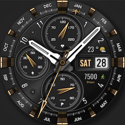 WFP 308 Business watch face icon