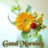 CNRao Dr undefined