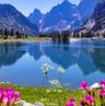 أبو محمد undefined
