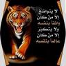 الشيادي توب توب undefined