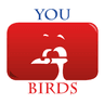 StupidBirdChannel undefined