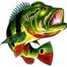 Rm Fish Piscicultura's profile picture