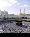 عمر العيافي undefined