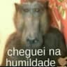 Cheguei na humildade's profile picture