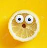 Homeless Lemon undefined