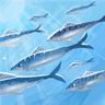 Fish Moi undefined