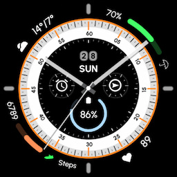 Analog Health Tracking - RE56 icon